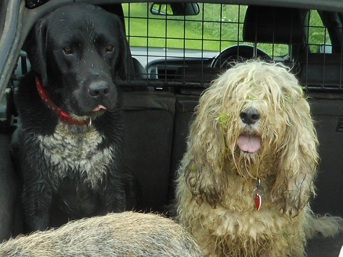 View image on Twitter