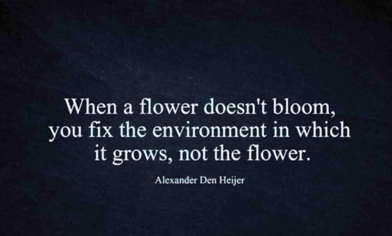 TTHOMAS_ED's tweet photo. District leaders, school leaders, teachers, parents... https://t.co/bmbrlFvkCY