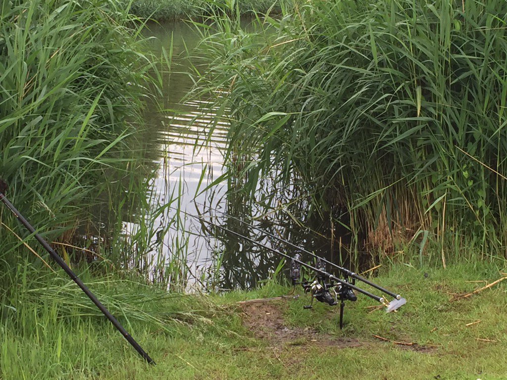 Second trip to new lake on my pre baited spots 🎣