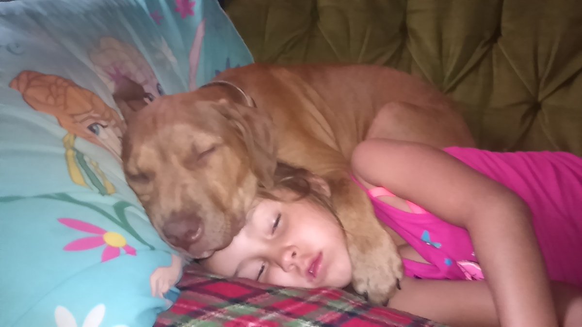 ladyjsylva91's tweet photo. Sissy an Rebel he loves her so much https://t.co/m0pWuFyFPC
