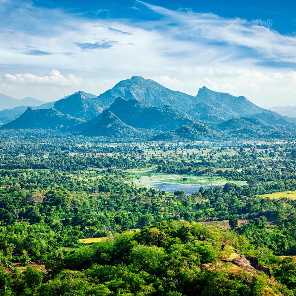 ImmigrationLK's tweet photo. Sri Lanka's return to glory
https://t.co/BFroikenco 
https://t.co/UmPQ8bP7PY
#srilanka #holidays #lka #lk #travel https://t.co/kGHv485M2k