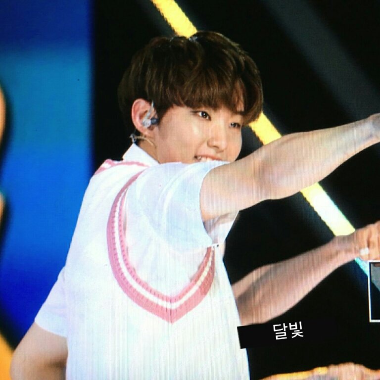 moon_light_17's tweet photo. 160617 수원슈퍼콘서트 #호시 #순영 @pledis_17 https://t.co/mqZftoD5UP