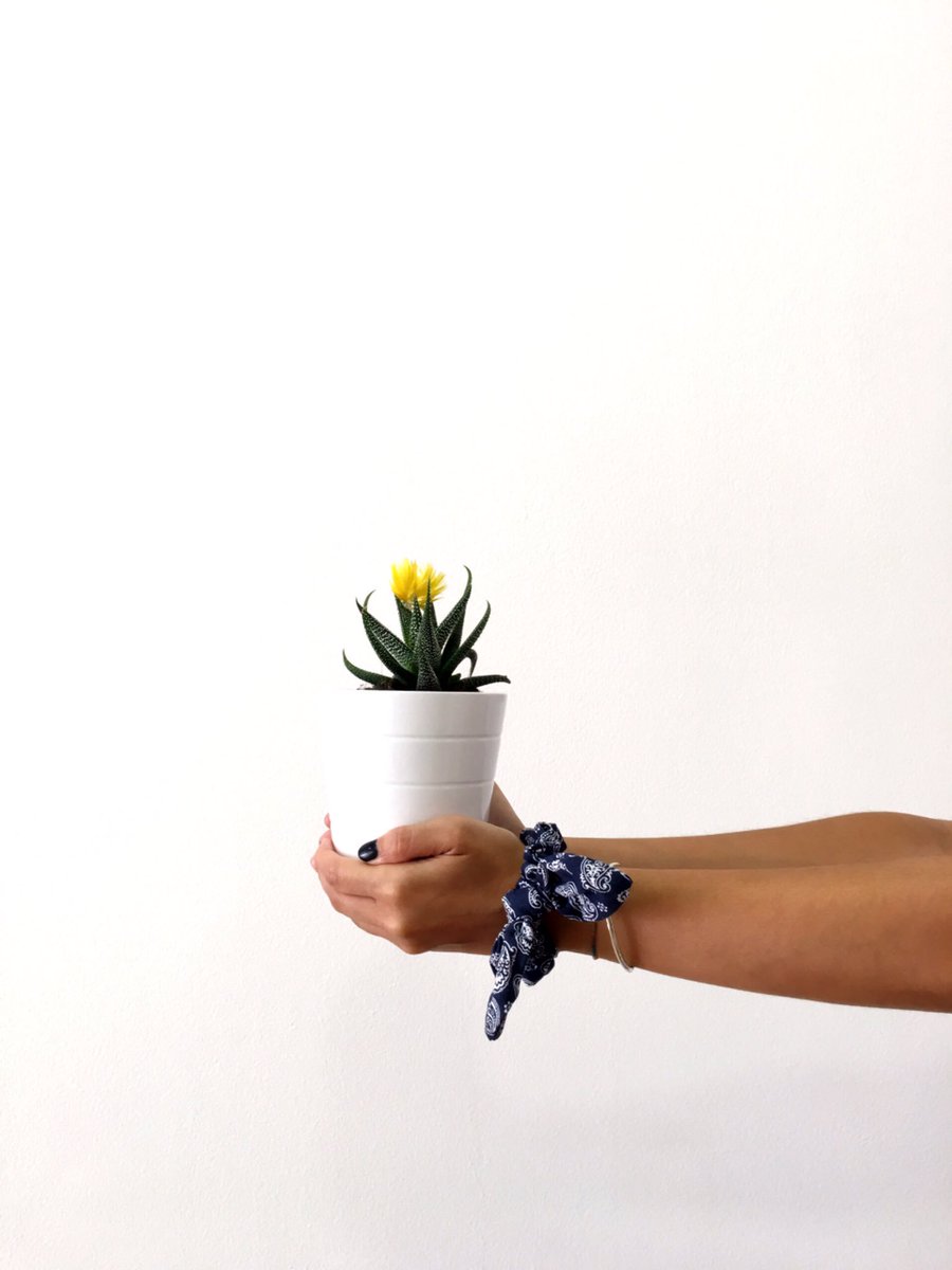 mapa_estudio's tweet photo. Friday 🌿🌿🌿 #plants#color#design#deco https://t.co/o9IydftpQL