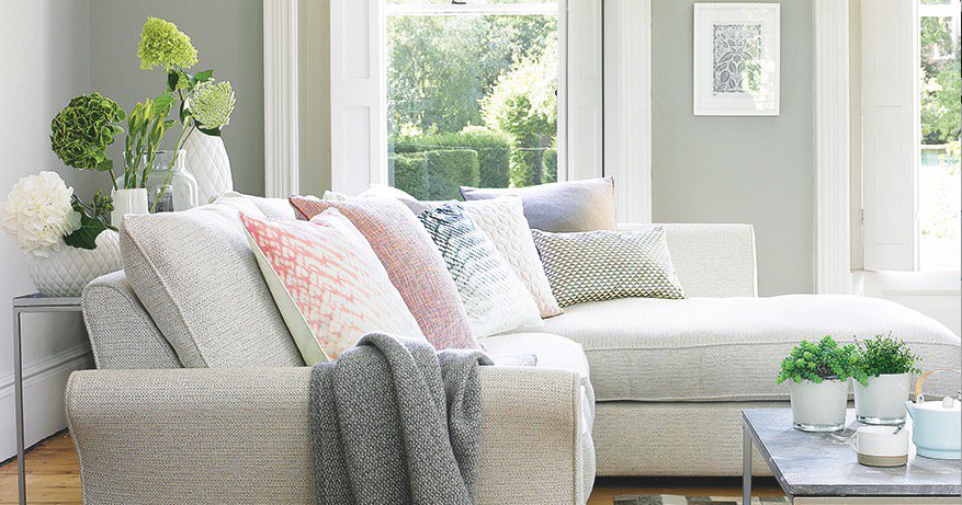 Acorn Windows tweet media