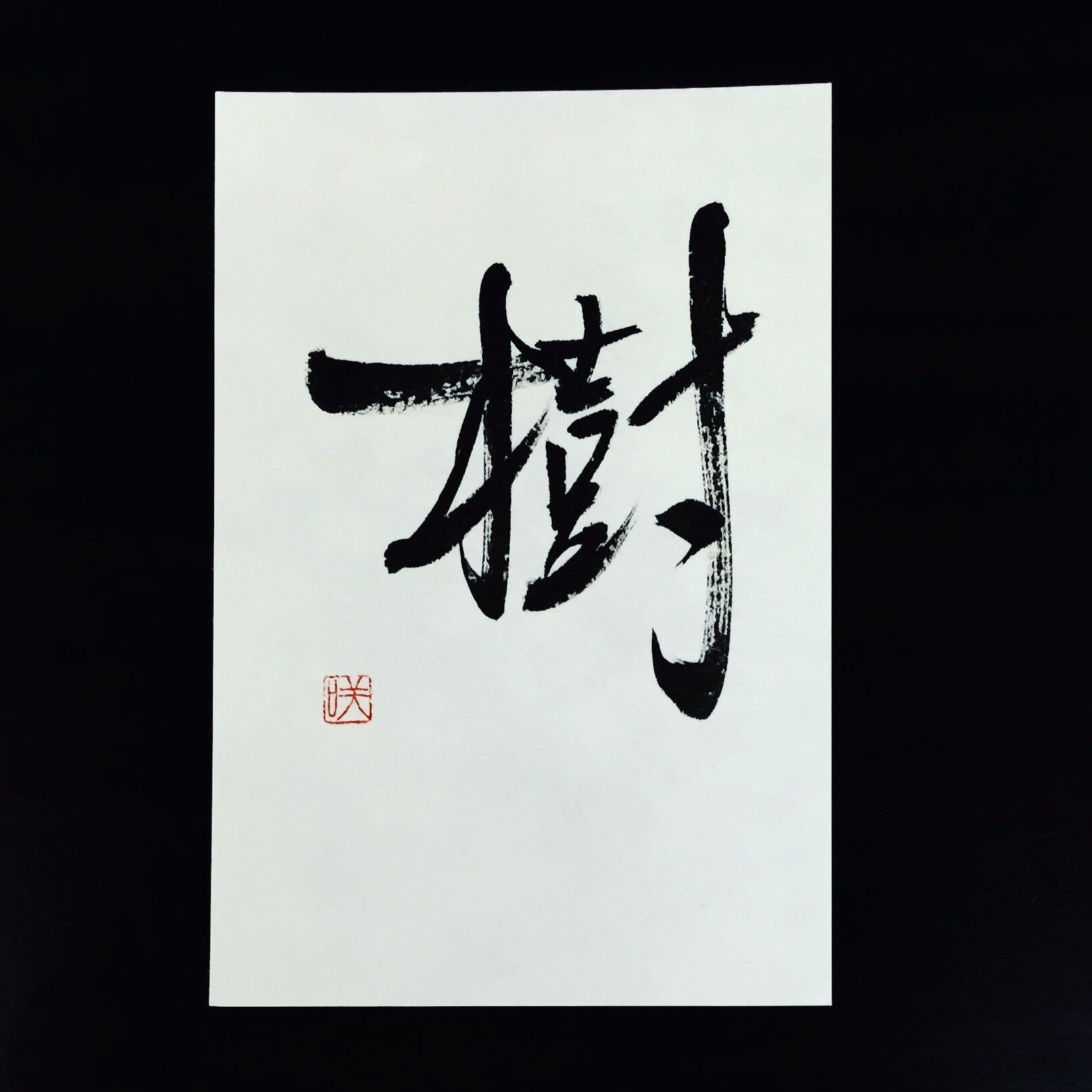 書道 『樹』