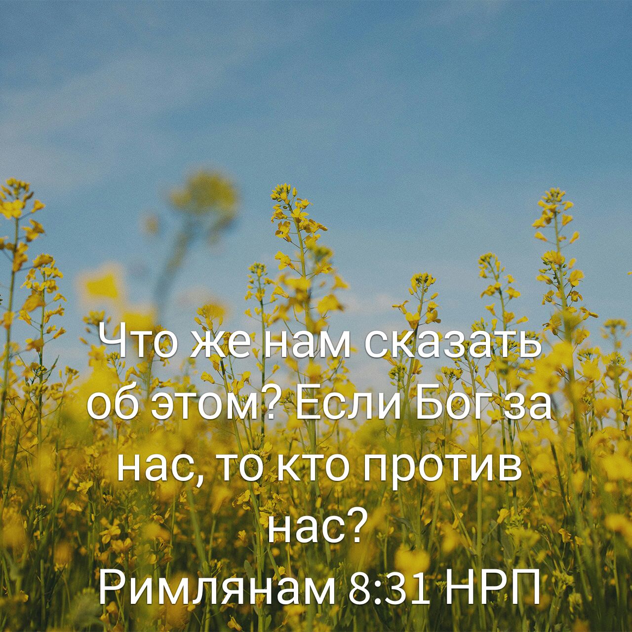 Всегда радуйтесь непрестанно молитесь