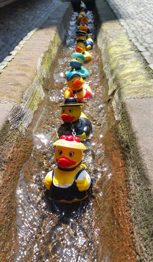 Grüße von #Kassel nach @freiburg :-) Wir wünschen einen schönen #ff mit Enten und sonnigem Wetter (eul) https://t.co/qd6dIcvARK