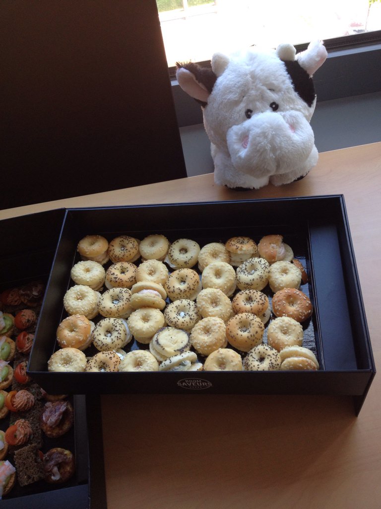 PVPI_IMMO_de's tweet photo. Yummie!!! 🍪🍩 Better than gras and gras and gras all day...  #Frankenberg 🐮 happy @ #SnackTweet https://t.co/ADnXbn3FjO