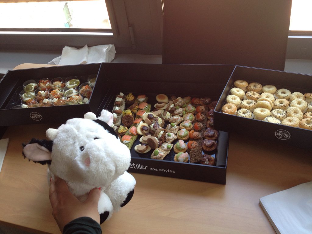 PVPI_IMMO_de's tweet photo. Yummie!!! 🍪🍩 Better than gras and gras and gras all day...  #Frankenberg 🐮 happy @ #SnackTweet https://t.co/ADnXbn3FjO