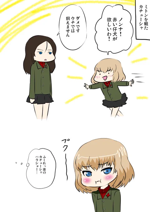 かつてミトンとチェブラーシカでロマン・カチャーノフ監督の存在を知ってソ連おそるべしってなったのを思い出しながらのノンカチュ 