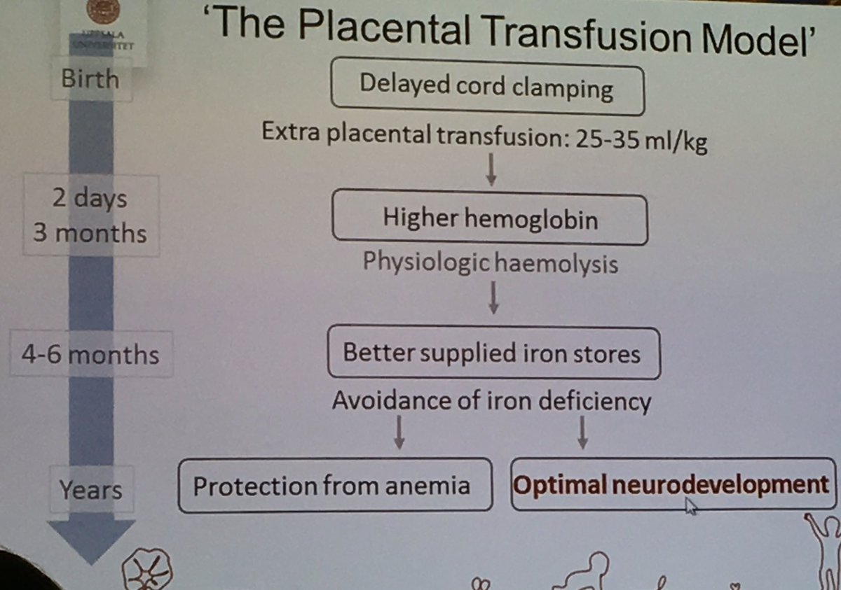 VrouwenZorg's tweet photo. #ECPM2016 ;"Veel voordelen neonaat bij laat klemmen navelstreng".(O.Andersson) https://t.co/oKrThnRqmd