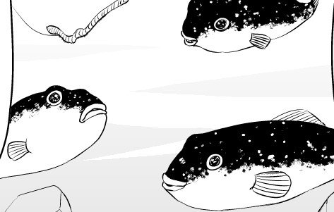 今月は釣り人みんなのアイドル、クサフグめっちゃ描いた～ 
