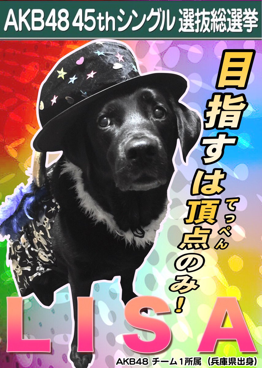 わんわん警察