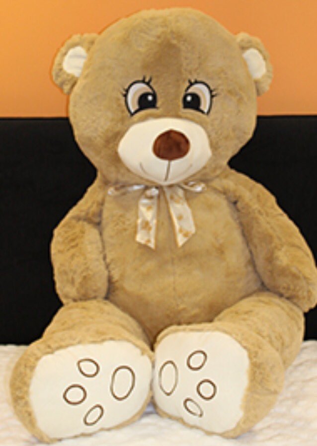 CarinaMarcella's tweet photo. Our @homebargains bear is all ready for tomorrow's @Amesbury_Show and will be a raffle prize! #AmesburyCarnival16 https://t.co/BnPMYqO8Pj