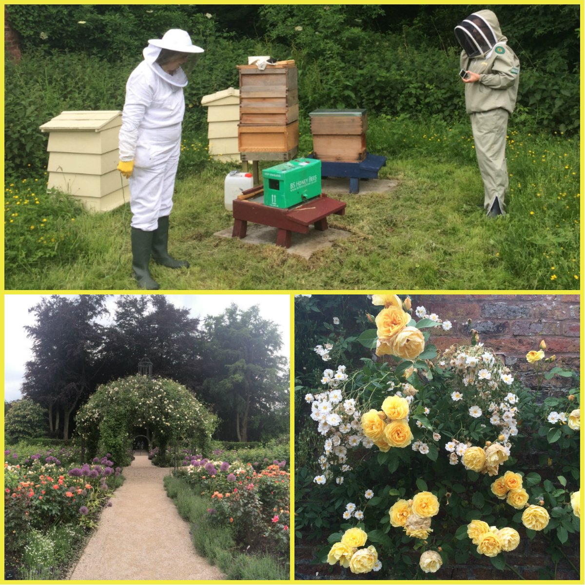 DunhamMasseyNT's tweet photo. Our #volunteer #beekeepers have been hard at work in the #rose #garden this week! https://t.co/kXY069m9jw
