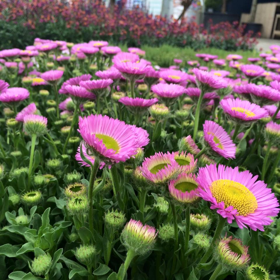 GreenSalesDE's tweet photo. Wie viele Farben wöllen Sie? https://t.co/8nWc8k7QJH