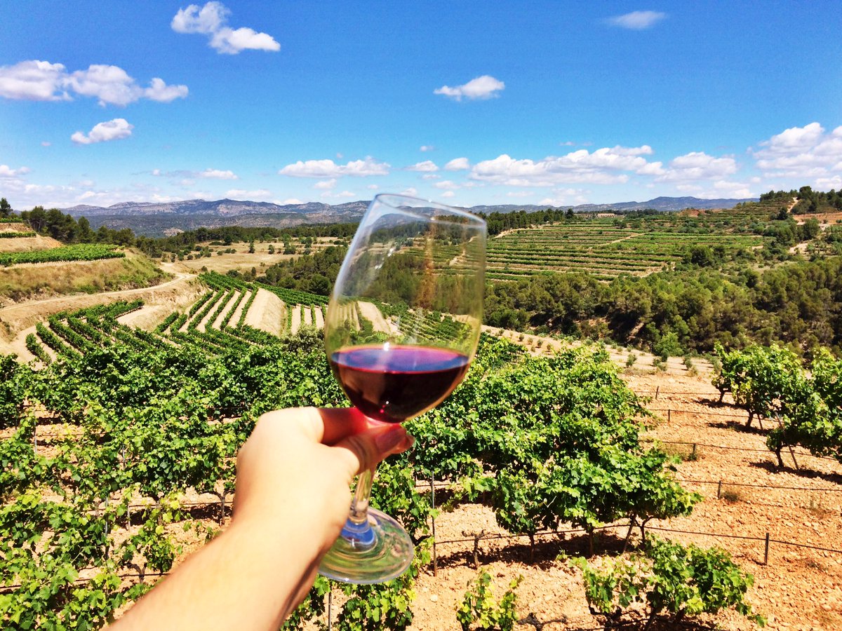 SandraKollerer's tweet photo. Wine tasting in catalonia 💙@CellerlaPlaceta https://t.co/sejZy8CPgJ