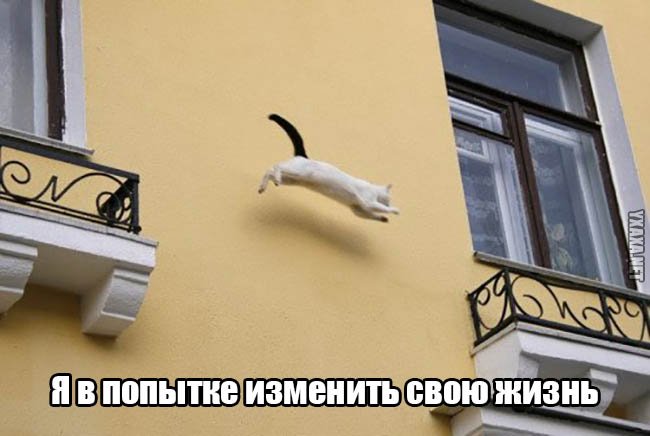 Ложкин договорился о стажировке выпускников Гарварда в Украине - Цензор.НЕТ 236