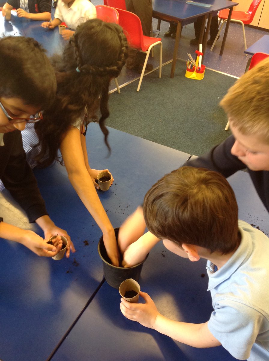 Class 3P Lowerplace tweet media