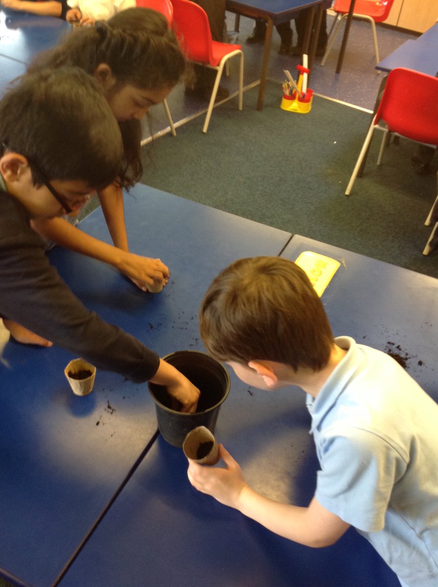 Class 3P Lowerplace tweet media