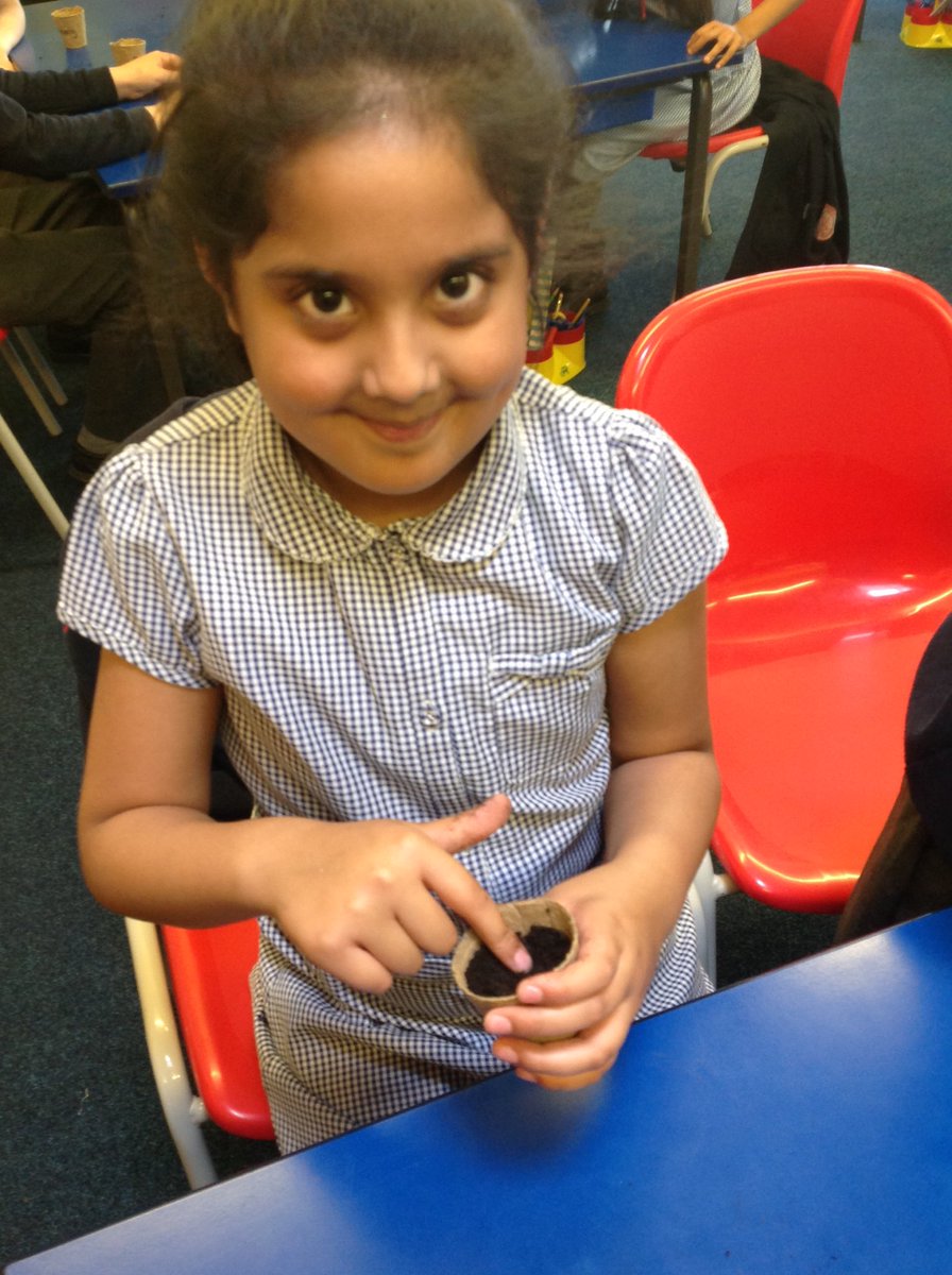 Class 3P Lowerplace tweet media