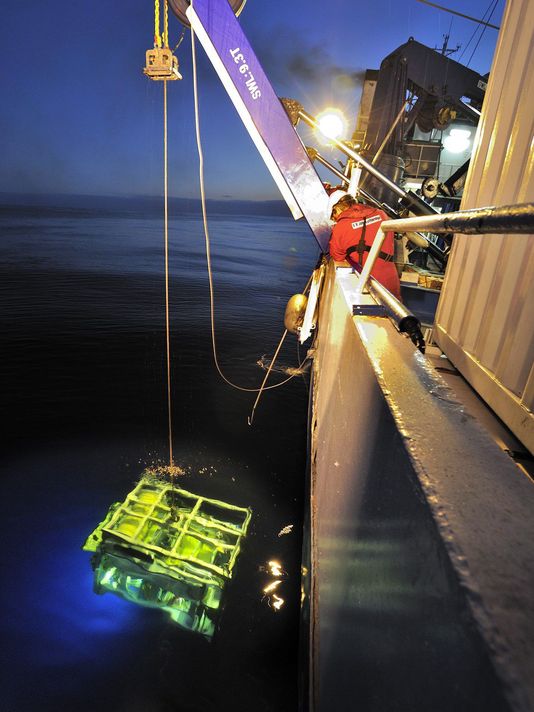 View image on Twitter