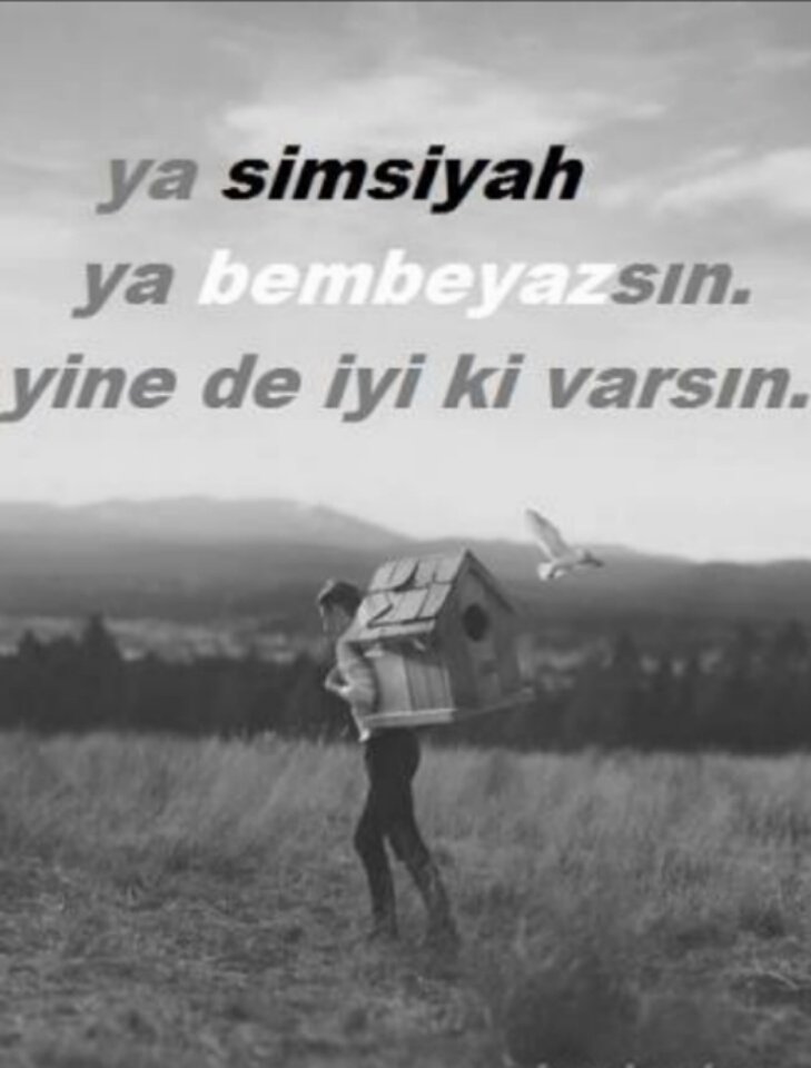 Ya simsiyah ya bembeyazsın yine de iyi ki varsın. 

-Alper Ayyıldız