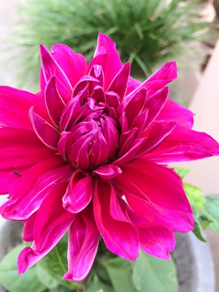 titu58's tweet photo. #NatureInAFrame https://t.co/UFBCmFxPNL