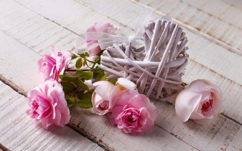 @DaaD01 <a href="/hennen35/">Hennen Silblak</a> <a href="/aunkur2011/">অঙ্কুর (BD)</a> <a href="/bobbygreyone/">Tracy Harris</a> <a href="/layebin/">Abdoulaye Sall</a> @MonSitePhotos <a href="/AlinaDal_F/">ADF</a> <a href="/dosik563121/">❤️VALENTINA❤️</a> <a href="/val_fina/">Fina Val</a>