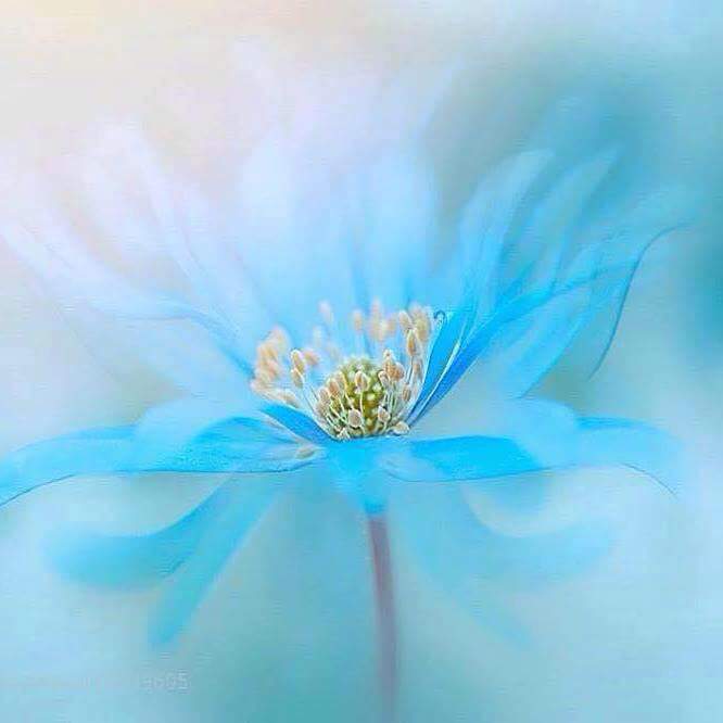 @DaaD01 <a href="/hennen35/">Hennen Silblak</a> <a href="/aunkur2011/">অঙ্কুর (BD)</a> <a href="/bobbygreyone/">Tracy Harris</a> <a href="/layebin/">Abdoulaye Sall</a> @MonSitePhotos <a href="/AlinaDal_F/">ADF</a> <a href="/dosik563121/">❤️VALENTINA❤️</a> <a href="/val_fina/">Fina Val</a>