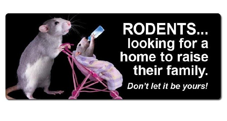 PestBustersNG's tweet photo. Call #Pestbusters today https://t.co/87wIGXiJT0