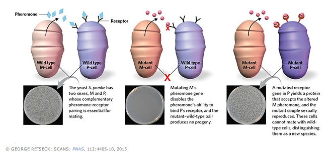 phache77's tweet photo. An easy concept that you may know : How to make a new species. 
#iFDV #Mutation #immunology #evolution https://t.co/xsz8Qnbfwm