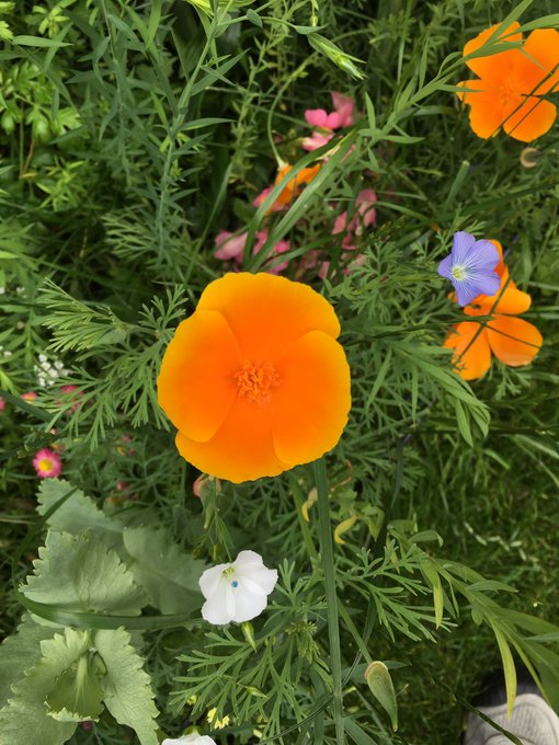 View image on Twitter