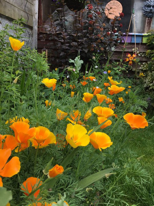 View image on Twitter