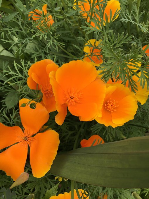 View image on Twitter