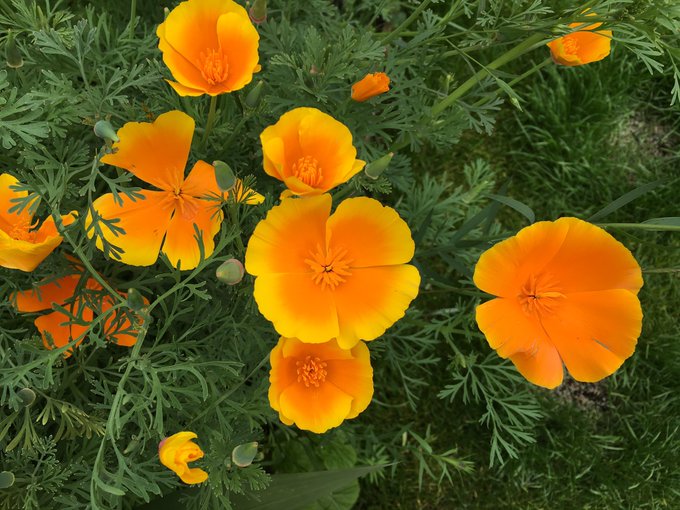 View image on Twitter