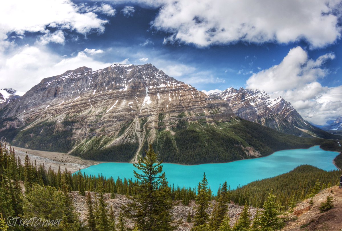 treetanner's tweet photo. The Great Peyto Lake! What a view 😍 #explorealberta #keep_exploring #nature #Alberta @mikesobel @ExploreRockies https://t.co/7MnNT01wvL