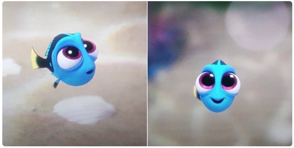soynormalvale's tweet photo. dory de bebé 😍 https://t.co/Ukbh51kPFC
