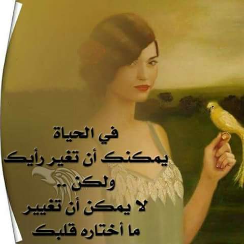 شهد علي (@zhra246381) on Twitter photo 