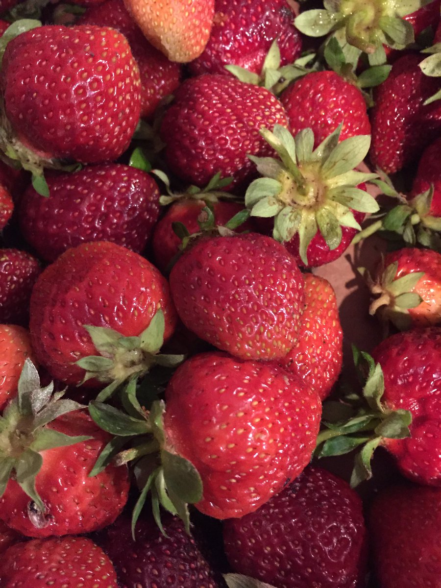 I love strawberries👍❤️