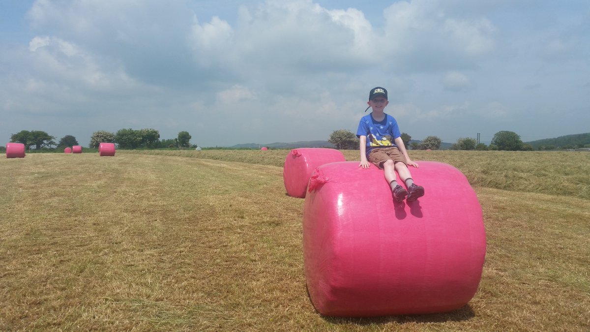 TirlanFarmLife's tweet photo. Young Tommy Foley from Portlaw is getting on the #pinkbale wagon for @BreastCancerIre https://t.co/Jdp4S3JsIF