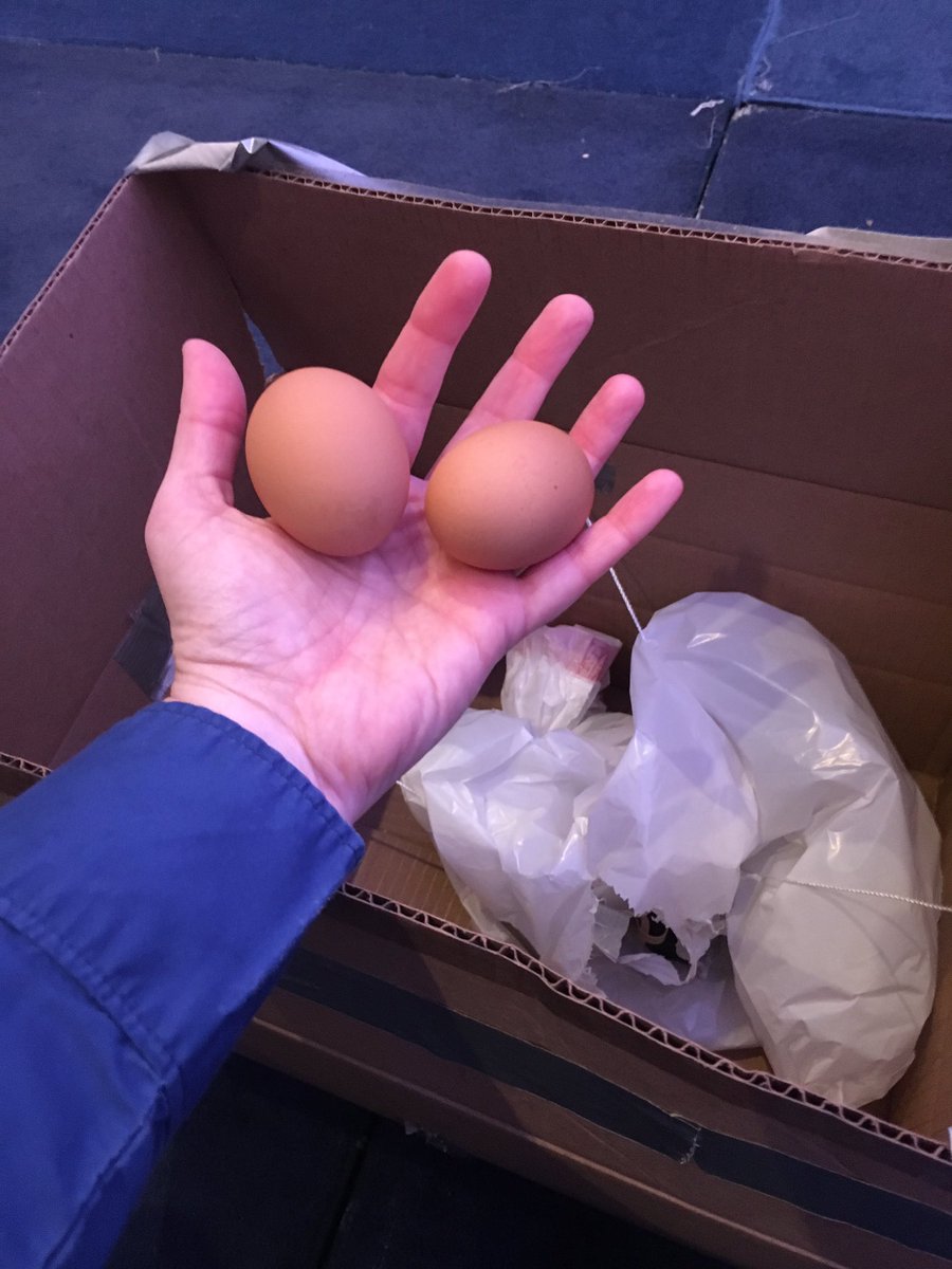 AIAAGNO's tweet photo. The eggstronauts survived the MacGyver competition. #AIAARLC https://t.co/xIqaDGxioJ