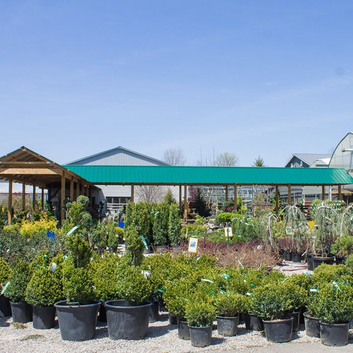 Stop in at the nursery on this beautiful day! Choose 1 tree or shrub at 20% off! Perfect gift idea for dad!