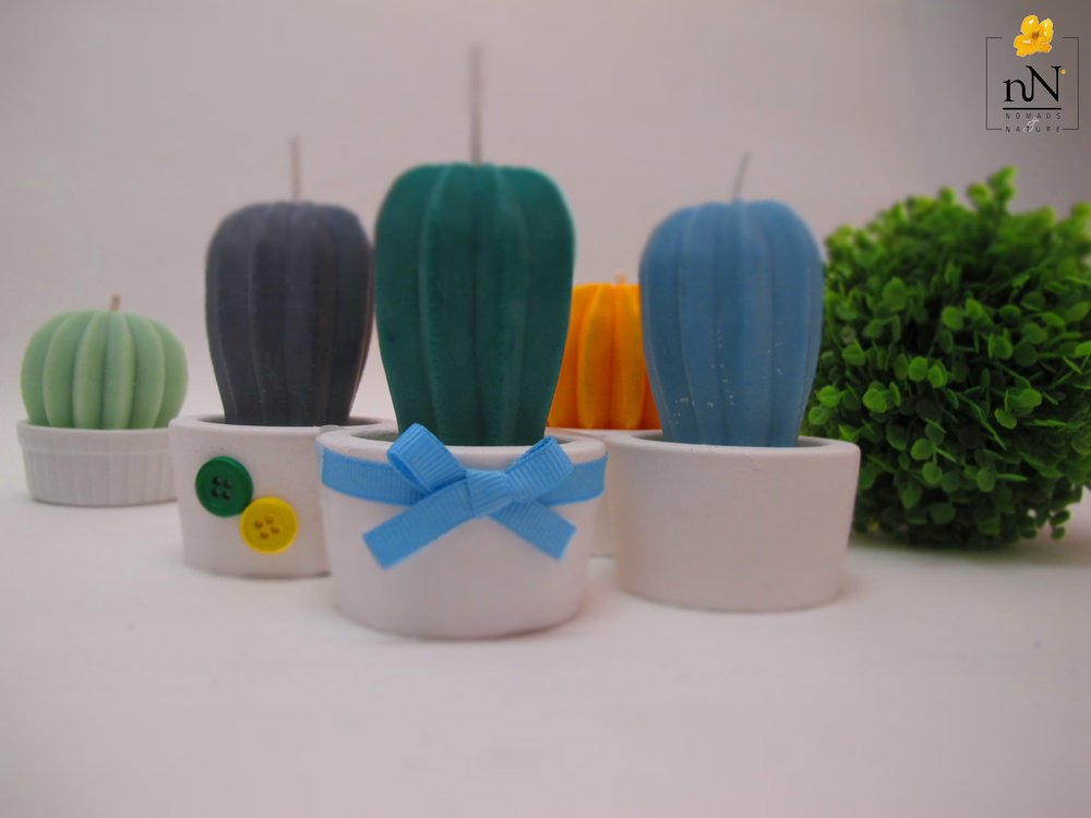 Get creative with your party favors! These would be great for any event! #Party #Gifts bit.ly/1UnMWO0