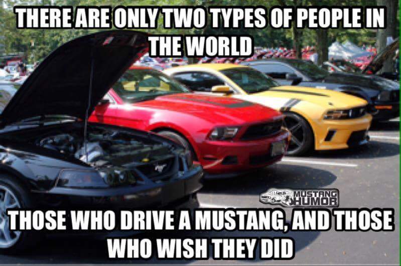 Mustang_Klaus's tweet image. Follow my friend @MiketheCarGuy1 please @GACarWar @GreensFord @SherwoodFord @Ford_CH @RobHerrod @Cobra3dD