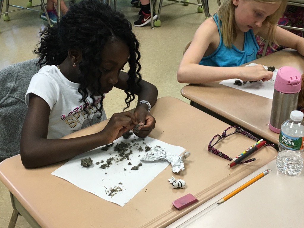 TerriStoff's tweet photo. 3rd graders exploring and dissecting owl pellets https://t.co/ePtFxnTDVO