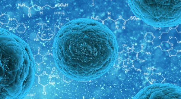 Sandra Kahn tweet media