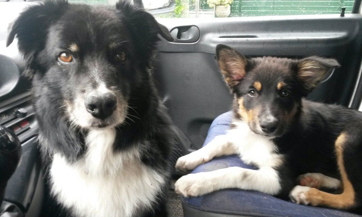 Aussie STAN (@heidert72) on Twitter photo 