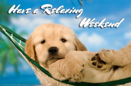 ContractorsU's tweet photo. You all deserve a short break! Have a briliant weekend! #HappyWeekend https://t.co/PQMewZzBCk