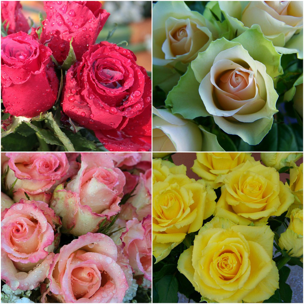 Bridesign Flowers tweet media